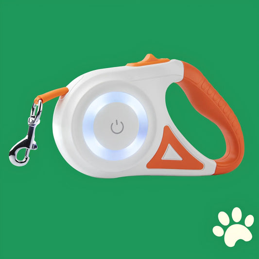 Laisse extensible avec éclairage LED intégré pour animaux